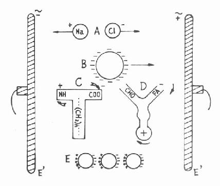 �������ڸ�Ƶ�������µı仯ģʽͼ