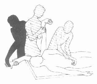 ��֫��UD2FUEģʽ˵��