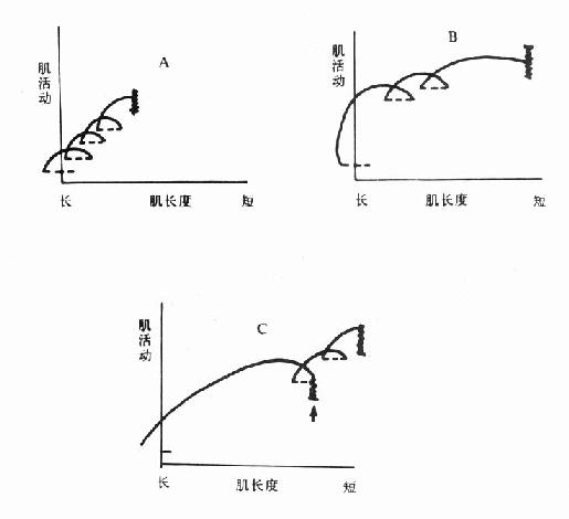 �������͵�RC