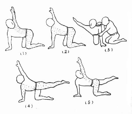 ��ϥλ��ƽ��ѵ��