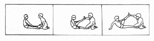 ������֫�Ĳ෽ѵ��