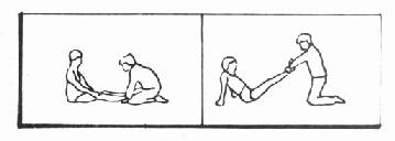 ������֫�ĺ󷽡���֫��չ����ѵ��