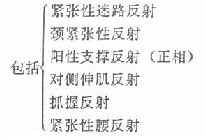 ��������·����