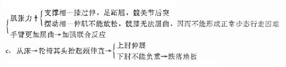 ���������Ĳ���