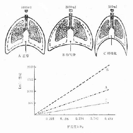 ��ͬ��˳Ӧ�Ե�ʾ��ͼ