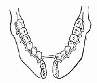 ���Ƿ����Թ��ۿ��ô����а�̶�