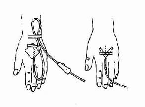 ������Һ��