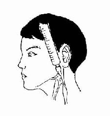 ���⾲�����̲����Һ��