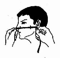 �ǵ��ܲ��볤��