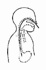 θ�ܲ���θ��