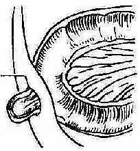 ���ܱ���