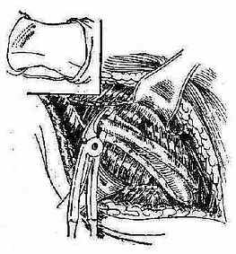 ����ŧ�׾�����������