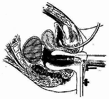 ����������п�����