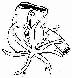 ��β��λ��