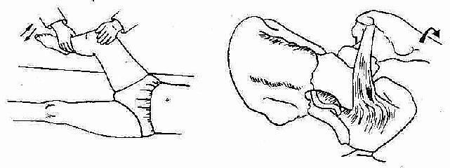 �տ׼�����ʾ��ͼ