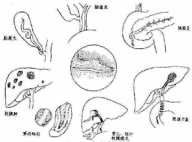 �����׳没���²���֢