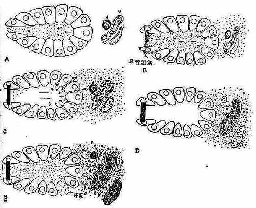 ����������