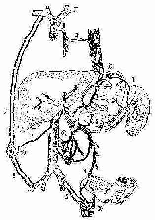 �ž�����ǻ����֮��Ľ�֧ͨ