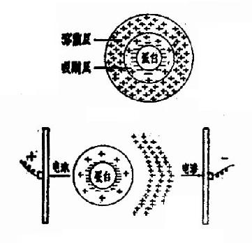 �������Ӿ