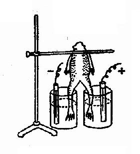 ����ʵ��ͼ