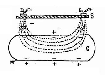 ��������Ĥ������Ӱ��