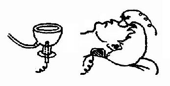 ��ճĤ�����Ʒ�