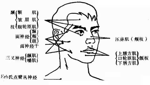 �沿���˶�