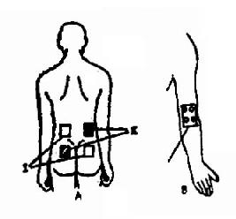 �̶���Ӧ��ʾ��