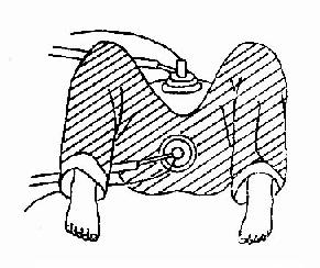 ǰ�������Ʒ���֮һ