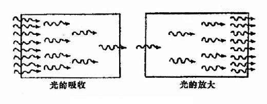 ���������Ŵ�