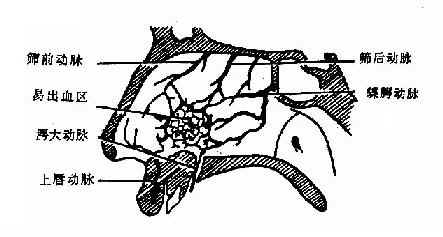 ���и������ֲ�