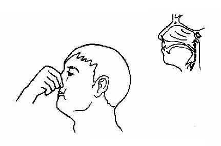 ��ǹ�����