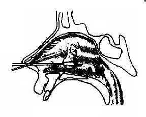 ��Ϣ��ժ����