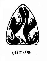 ���и�ƫ��������