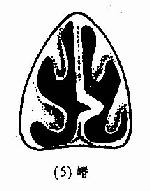 ���и�ƫ��������