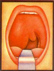 ��������Χŧ��