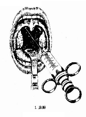 �������г��������뷨��