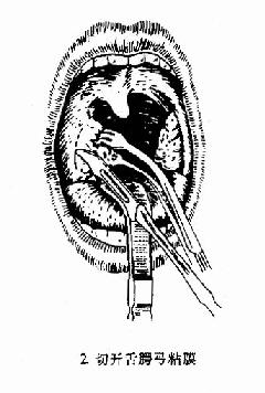 �������г��������뷨��