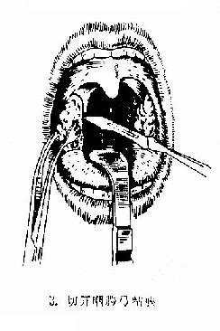 �������г��������뷨��