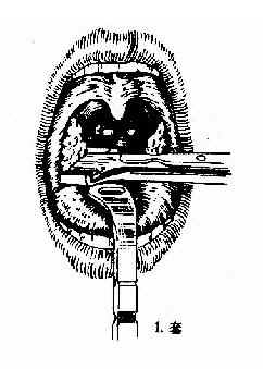 �����強����