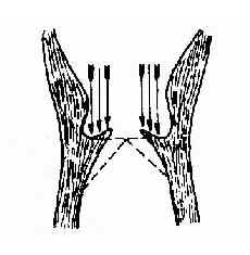 �����������Ժ������ѻ���ʾ��ͼ