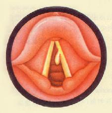 ����Ϣ��