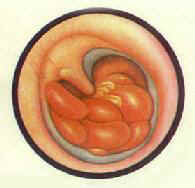 ���Ի�ŧ���ж��׹�������ѿ