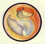 ���Ի�ŧ���ж���?��֬<a href=