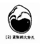 ��Ĥ��������