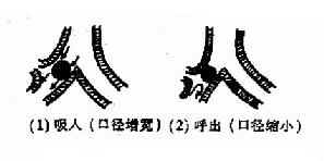 ����ȫ�����ͣ���������ף�