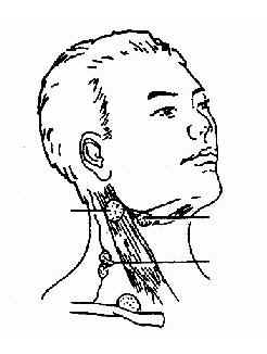 ����<a href=