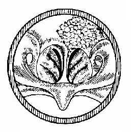 ����<a href=