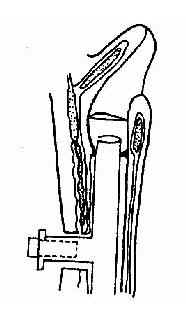 ������������������T�͹轺��