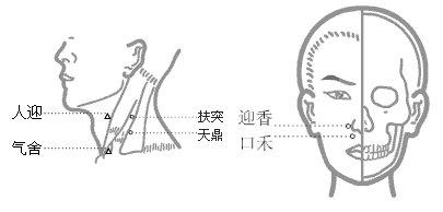 �������󳦾�Ѩ